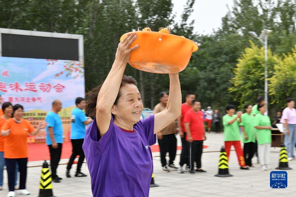 菲乐登录